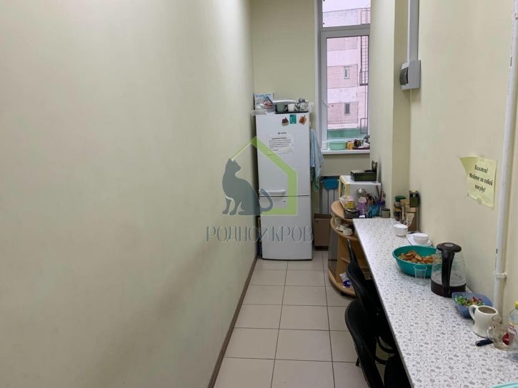 Офис Константина Федина улица, 33