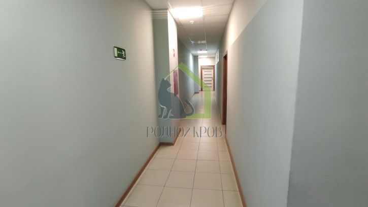 Офис Константина Федина улица, 33