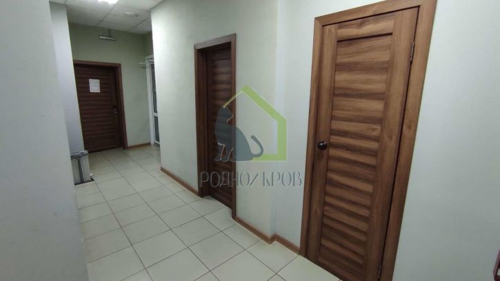 Офис Константина Федина улица, 33