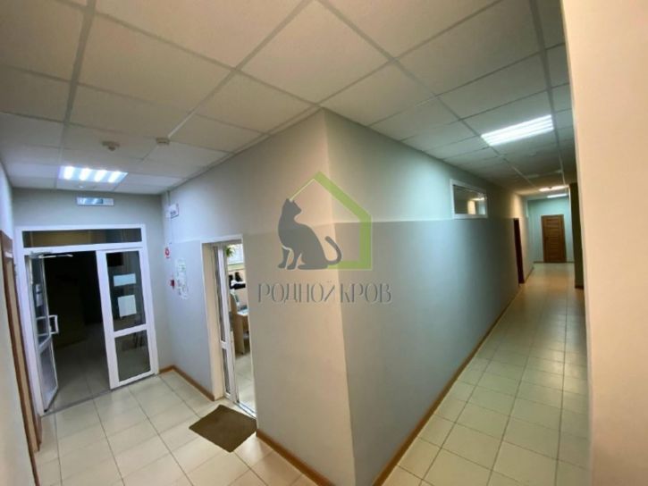 Офис Константина Федина улица, 33