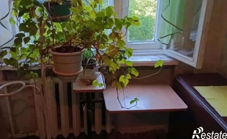 2-комн квартира пр-кт Космонавтов, 3,  д. 3